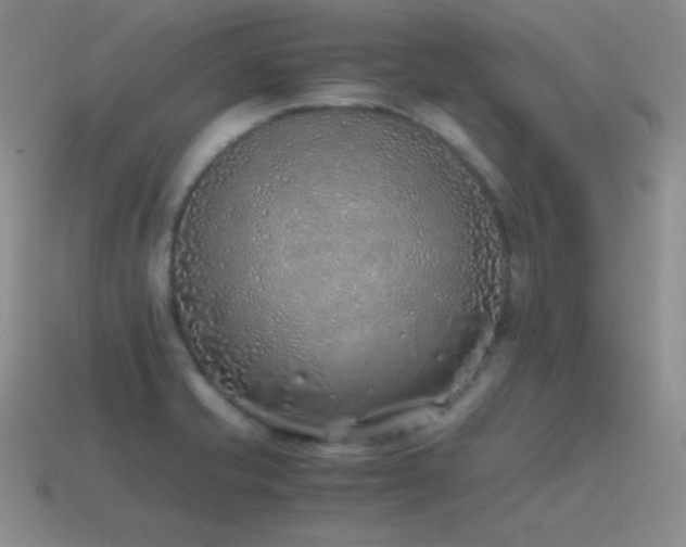 X0000115501421200911061318