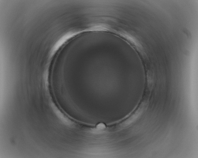 X0000115501422200911061318