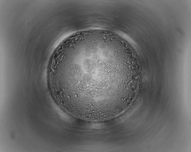 X0000115501423200911061318
