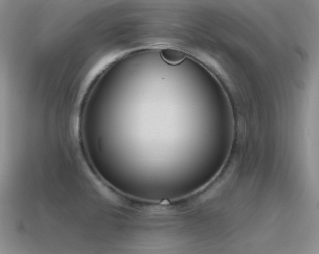 X0000115501424200911061318
