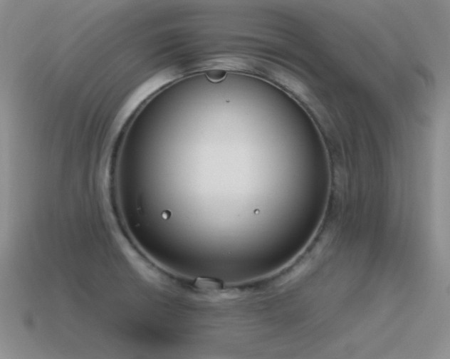 X0000115501426200911061318