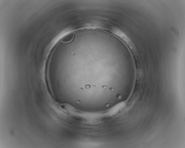X0000115501427200911061318