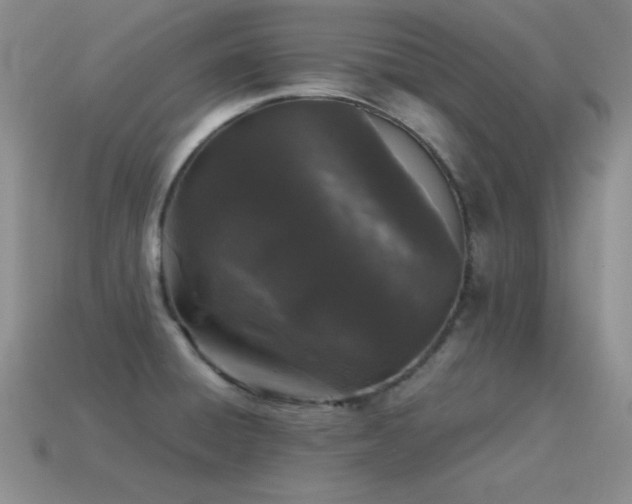 X0000115501428200911061318
