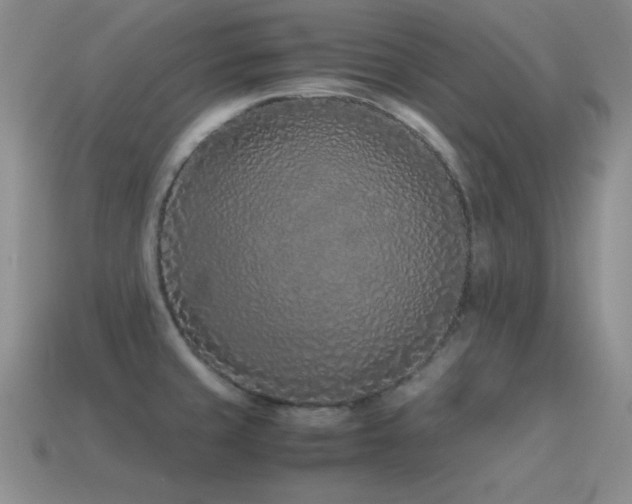 X0000115501429200911061318