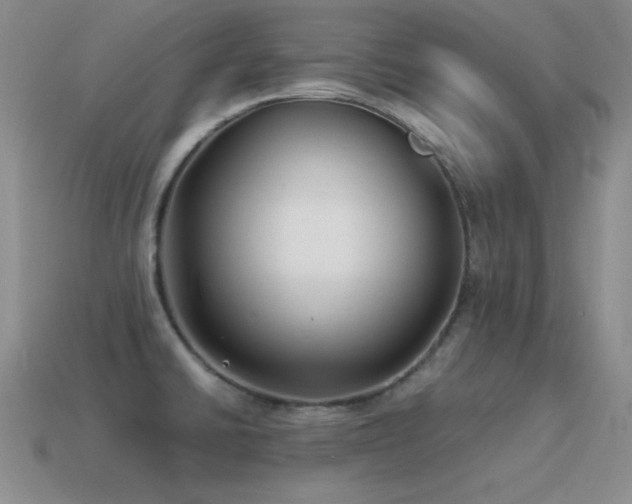 X0000115501430200911061318