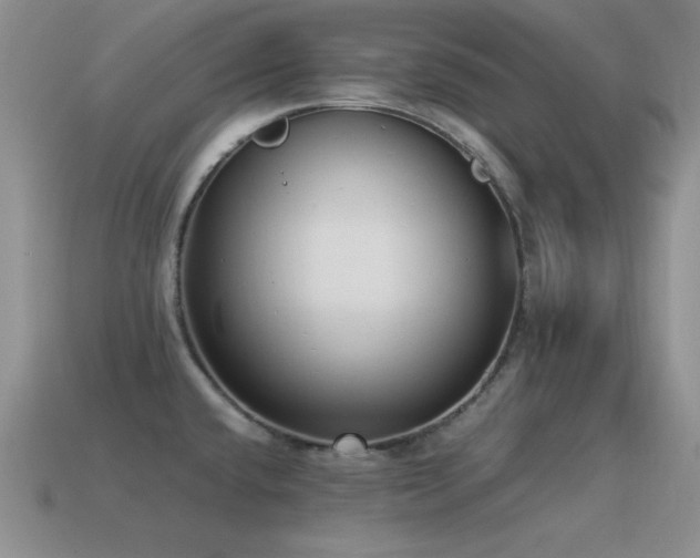 X0000115501432200911061318