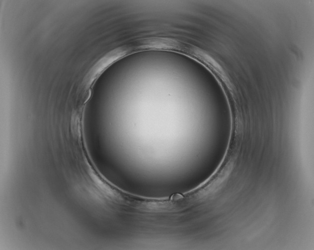 X0000115501433200911061318