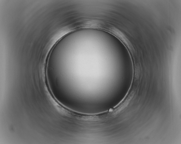 X0000115501434200911061318