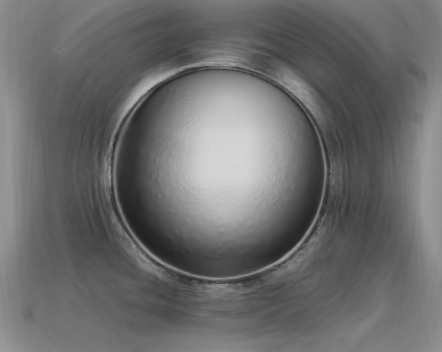 X0000115501436200911061318