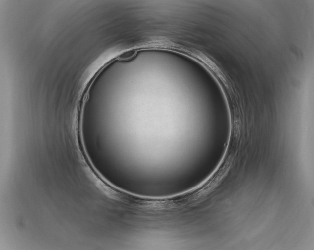 X0000115501438200911061318