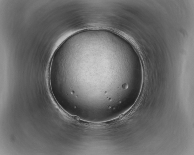 X0000115501440200911061318