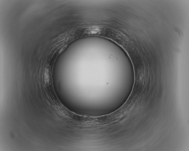 X0000115501442200911061318