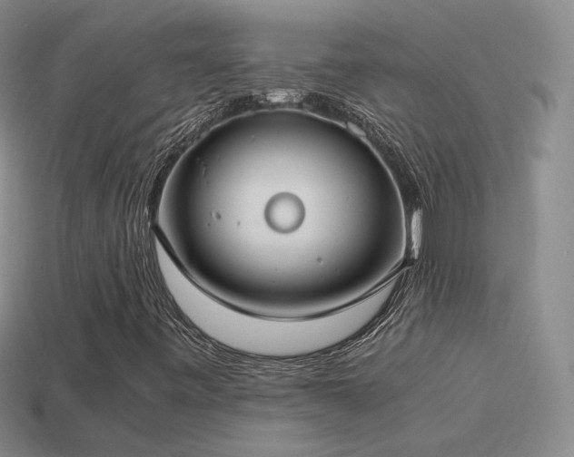 X0000115501443200911061318