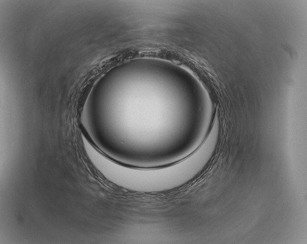 X0000115501445200911061318