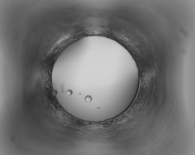 X0000115501446200911061318