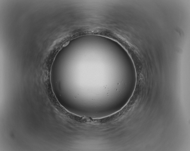 X0000115501447200911061318