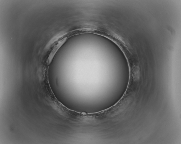 X0000115501448200911061317