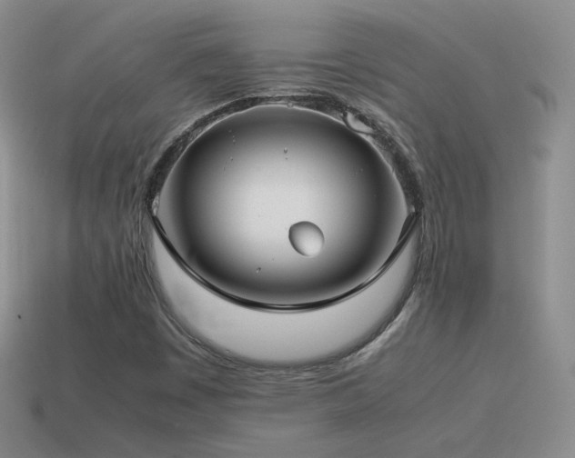 X0000115501449200911061317