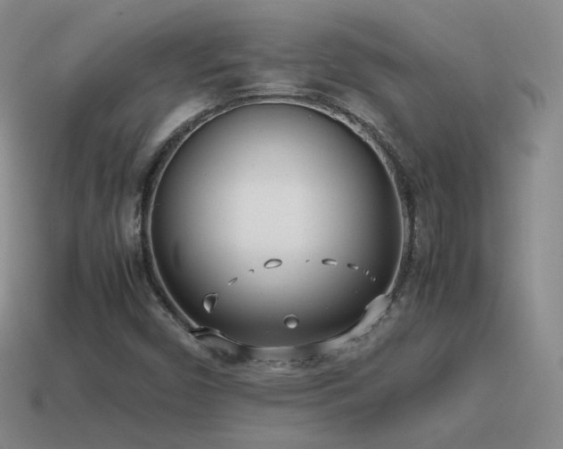 X0000115501450200911061317