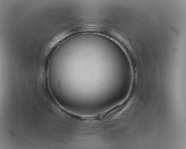 X0000115501453200911061317