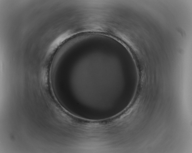 X0000115501455200911061317