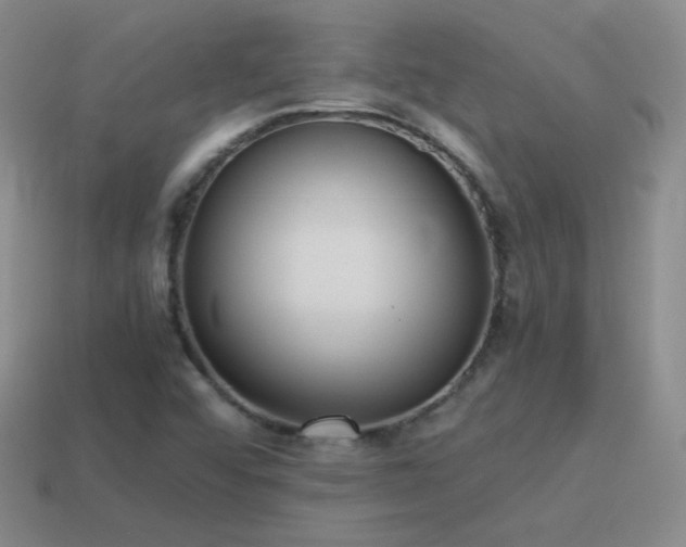 X0000115501456200911061317