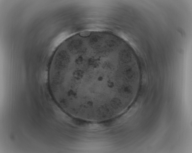 X0000115501459200911061317