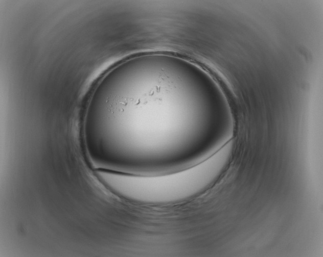 X0000115501460200911061317