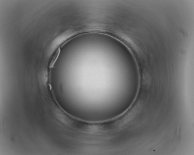 X0000115501461200911061317