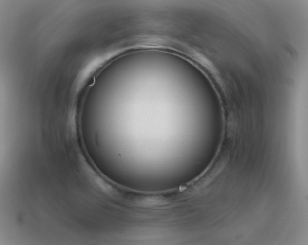 X0000115501464200911061317
