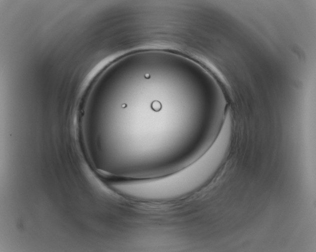 X0000115501468200911061317