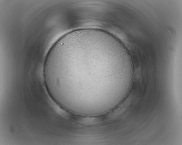 X0000115501470200911061317