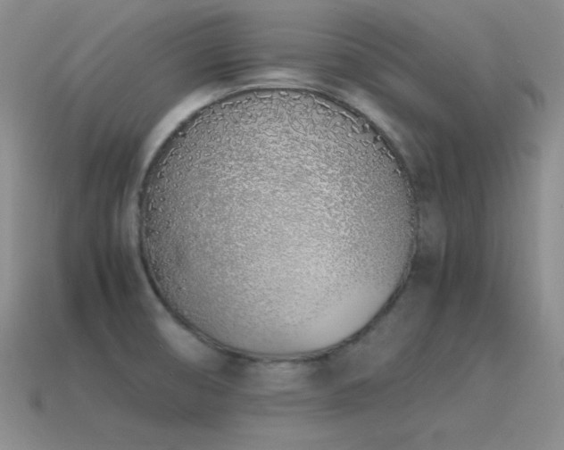 X0000115501474200911061317
