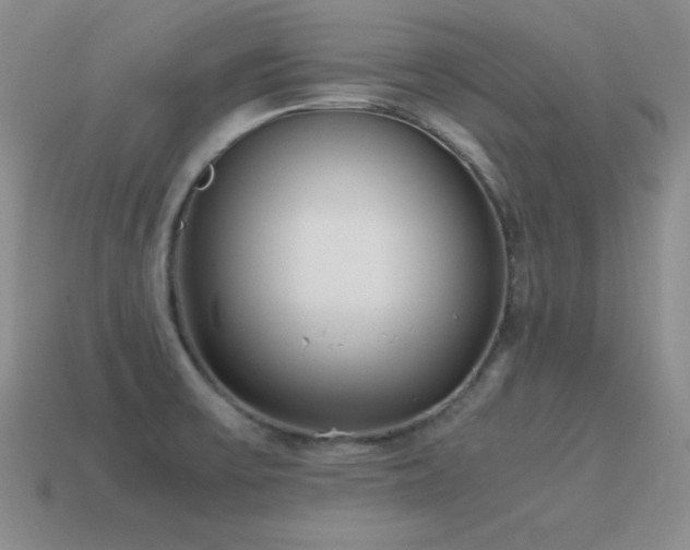 X0000115501475200911061317