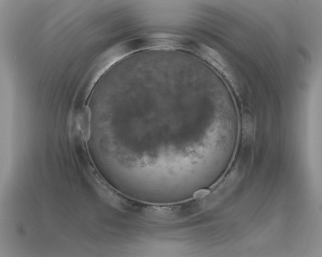 X0000115501481200911061317