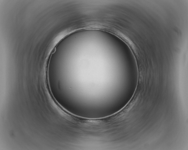 X0000115501483200911061317