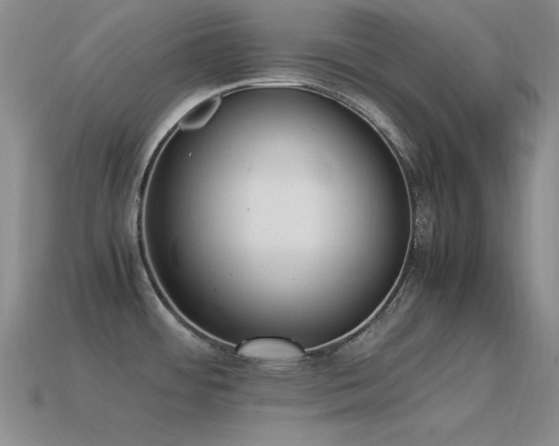 X0000115501484200911061317