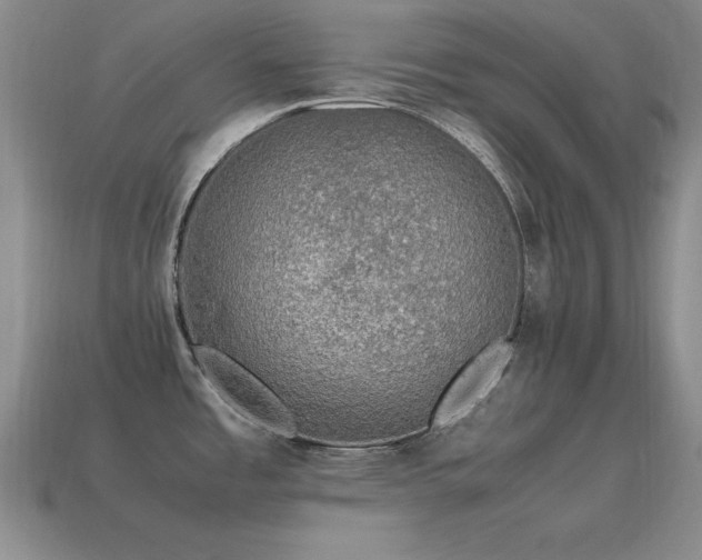 X0000115501485200911061317