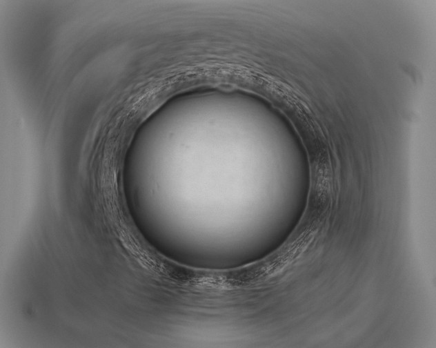X0000115501489200911061316