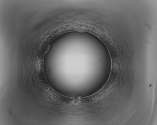 X0000115501490200911061316