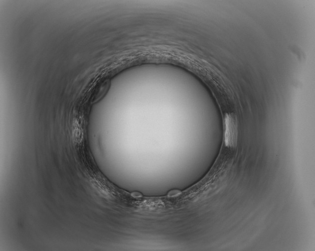 X0000115501491200911061316