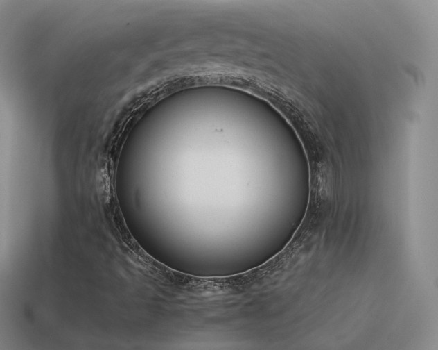 X0000115501493200911061316