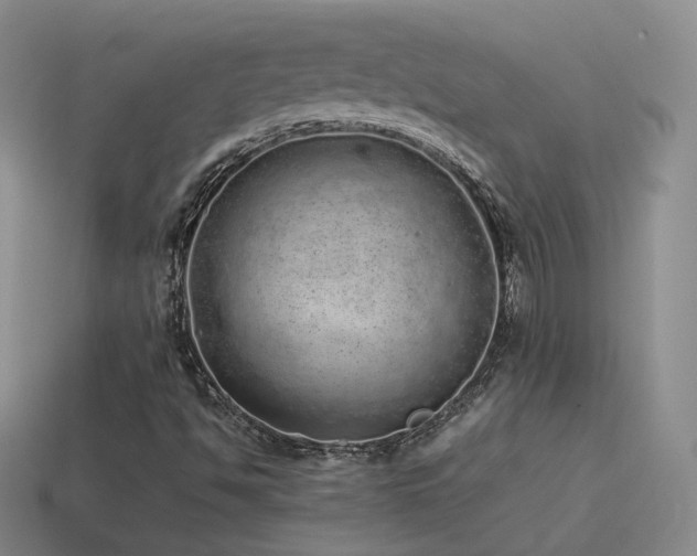 X0000115501494200911061316
