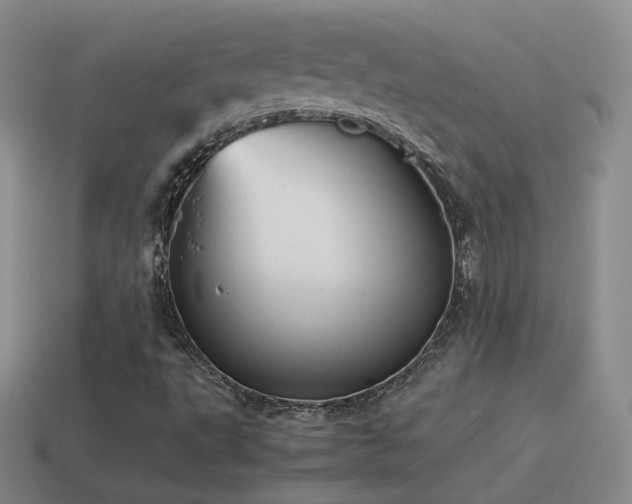 X0000115501495200911061316
