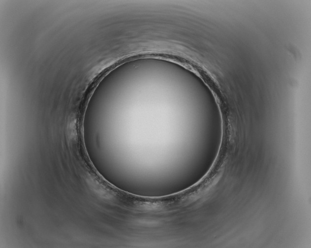 X0000115501497200911061316