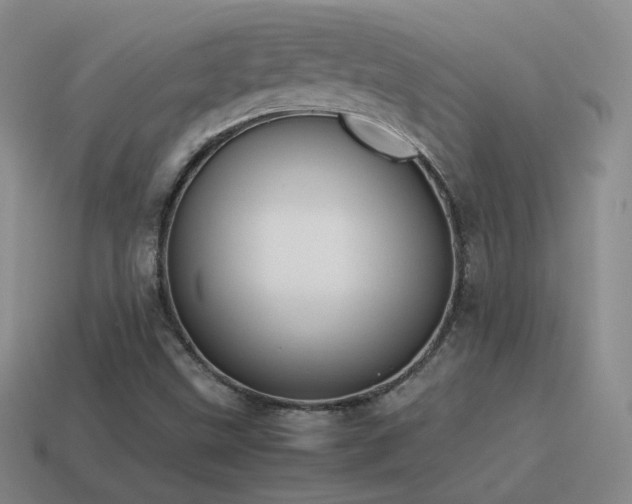 X0000115501499200911061316