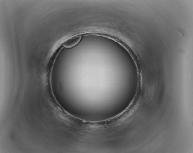 X0000115501501200911061316