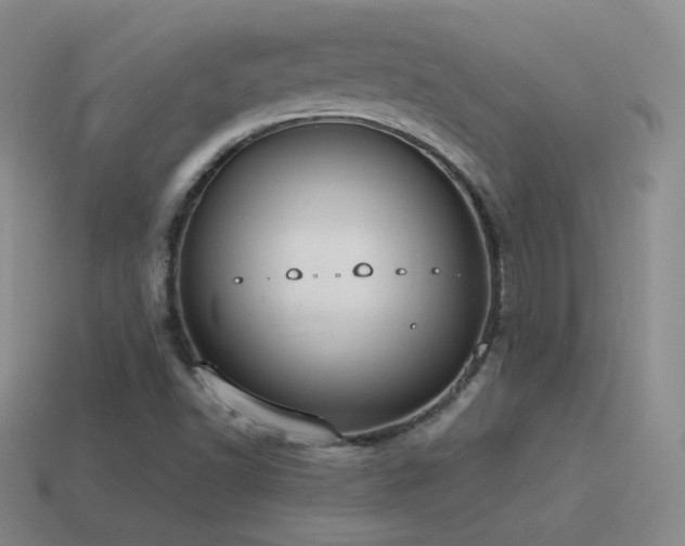 X0000115501502200911061316