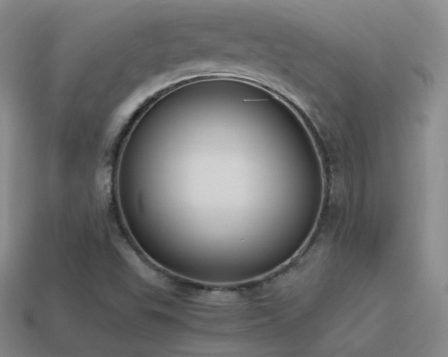 X0000115501503200911061316