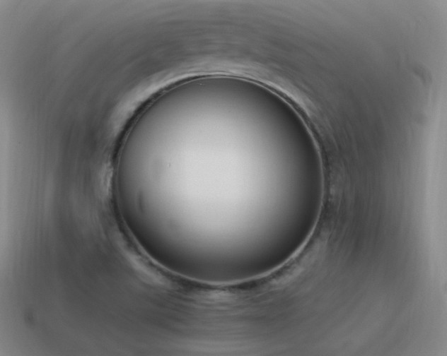 X0000115501507200911061317